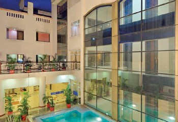 golden tulip